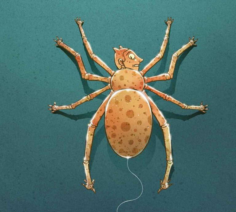 illustration d'une araignée