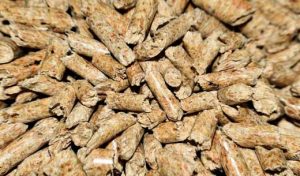Des granulés de bois (aussi appelés pellets)