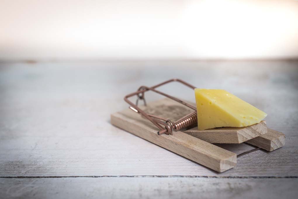 Une tapette à souris avec du fromage
