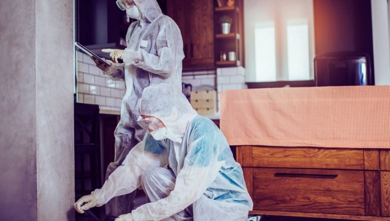 Deux professionnels de la désinsectisation dans un appartement