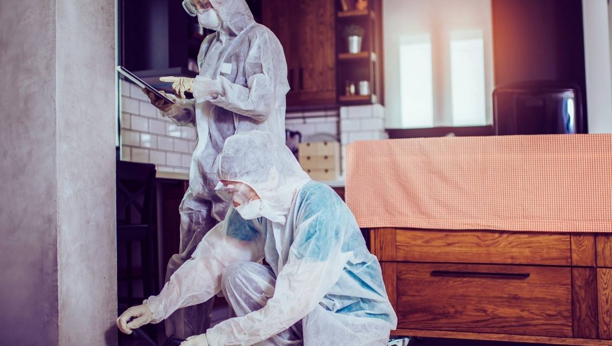 Deux professionnels de la désinsectisation dans un appartement
